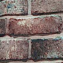 YSN Duvar Kağıdı 15.5 m2 lik 2350-03