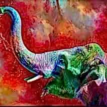 3D Duvar kağıdı fil posteri